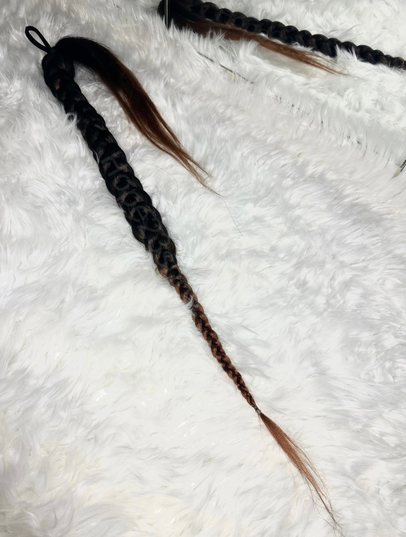 Coda treccia